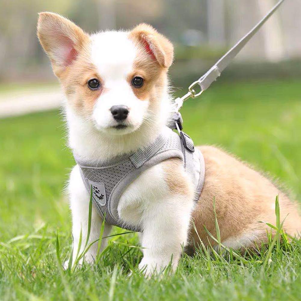 FEimaX Dog Harness and Leash Set for Walking, Soft Mesh Adjustable Easy Control Lightweight Cat Vest Harnesses with Reflective S