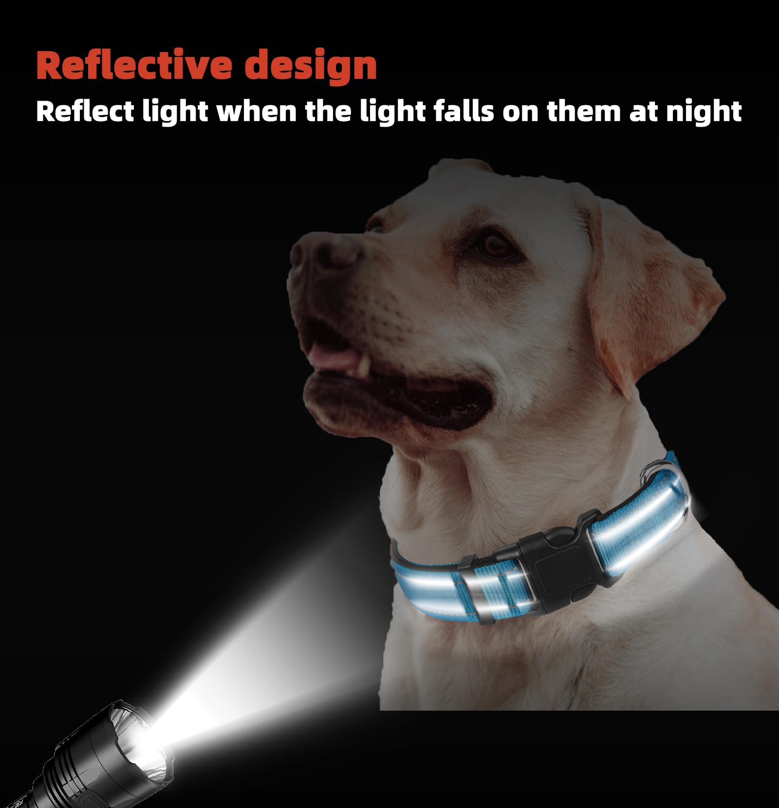 Blue Dog Collar, Reflective Pet Collar with Buckle Adjustable Safety Nylon Collars for Small Medium Large Dogs, XXL