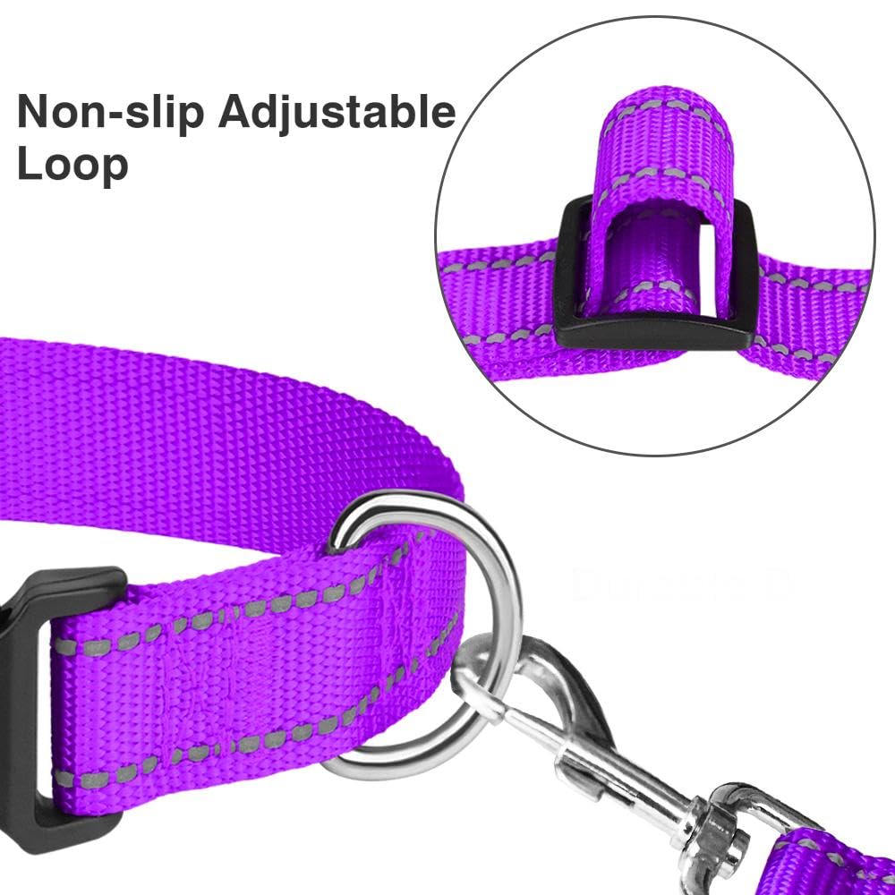 Taglory Reflective Adjustable Dog Collars For Puppy Small Medium Large Dogs, Thin Nylon Webbing And Quick Release Plastic Buckle(Purple,Large)