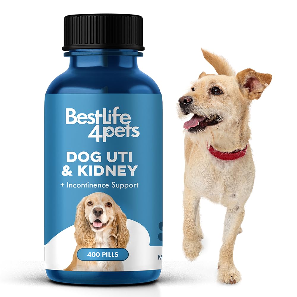 BestLife4Pets Dog UTI Kidney Support  Natural Urinary Tract Infection Treatment  Renal and Bladder Control Supplement  Easy t