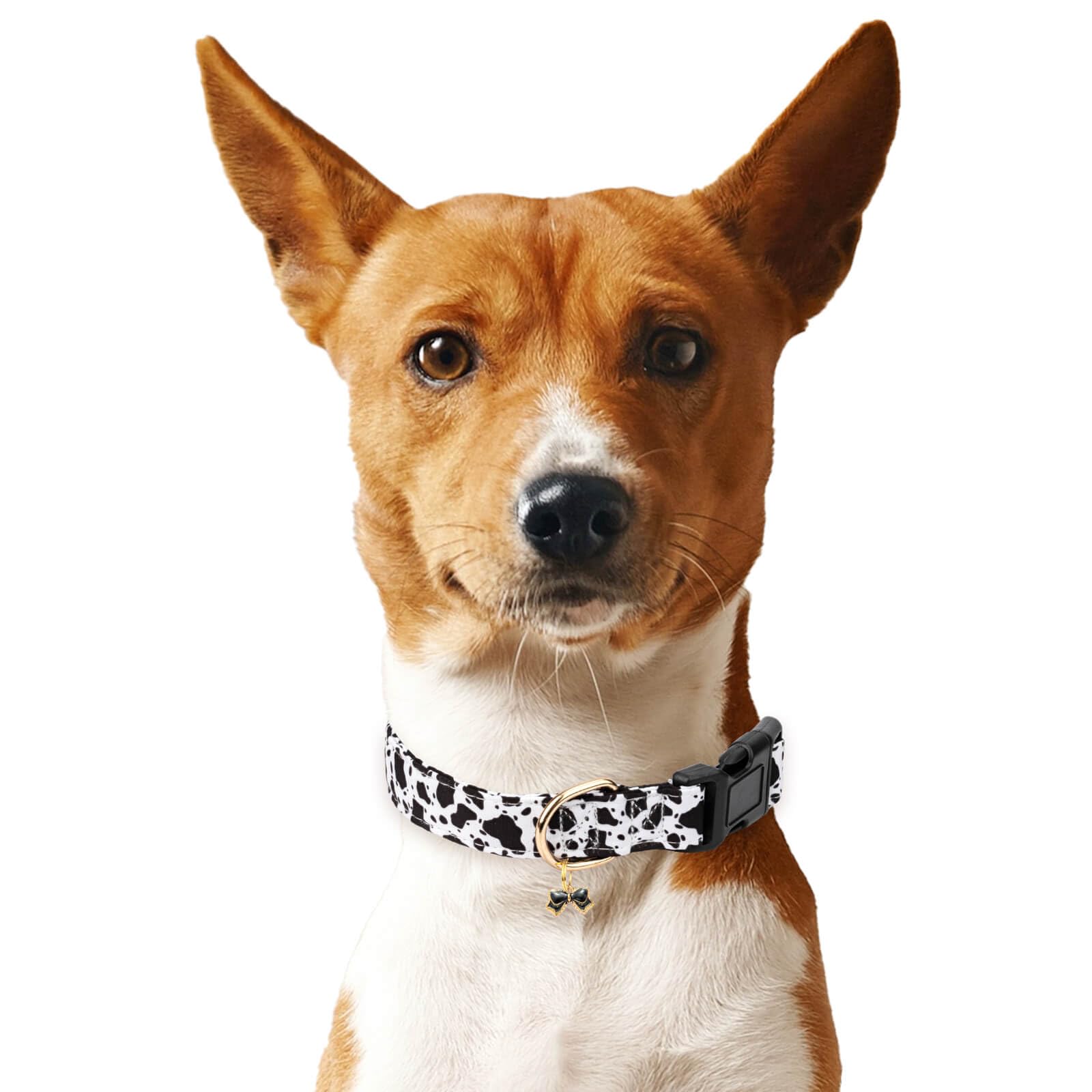 Gelwoo Cotton Dog Collar,Soft and Cute Puppy Collars with Crow Patterned Design for Girl Female Boy Dogs,Adjustable Buckle Pet C