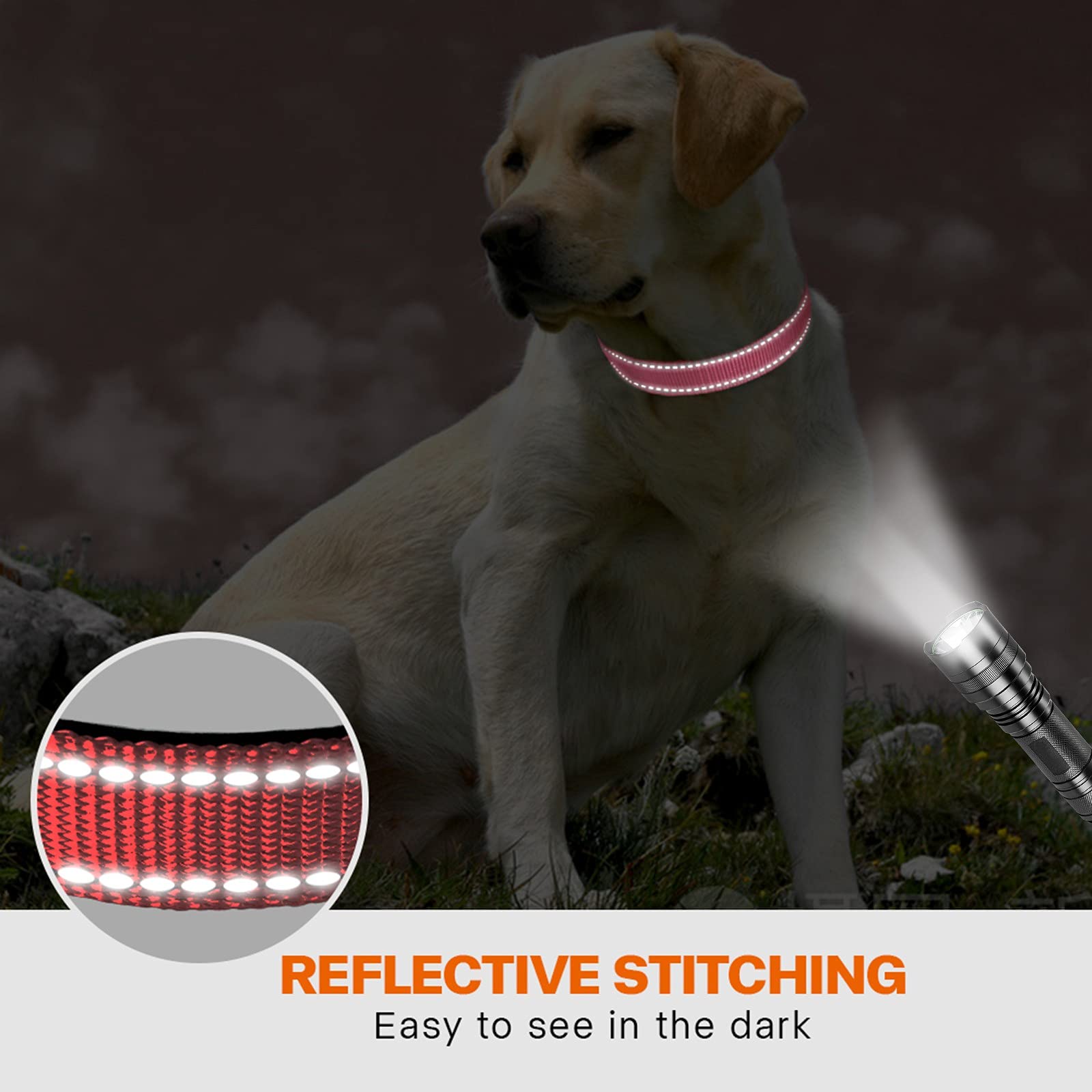 Taglory Reflective Dog Collar With Safety Locking Buckle, Adjustable Nylon Pet Collars For Extra Large Dogs Female Male, Baby Pi