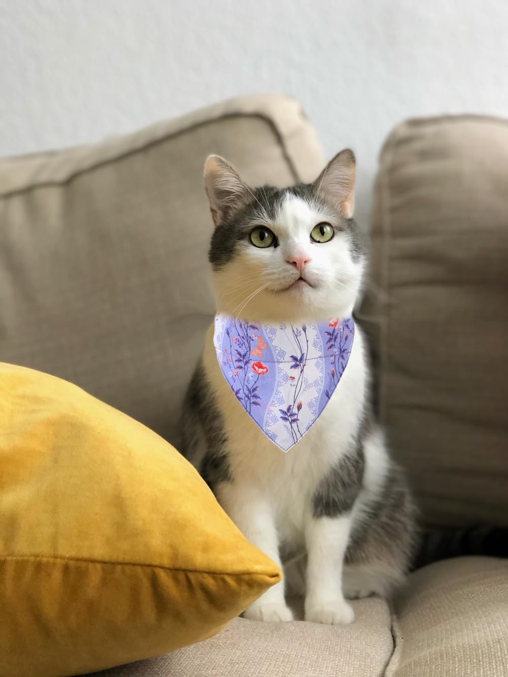 Kzhareen Cat Collars Breakaway With Bandana Bell Plaid Flower Pet Kitten Adjustable For Small Dog Puppies Girl Boy