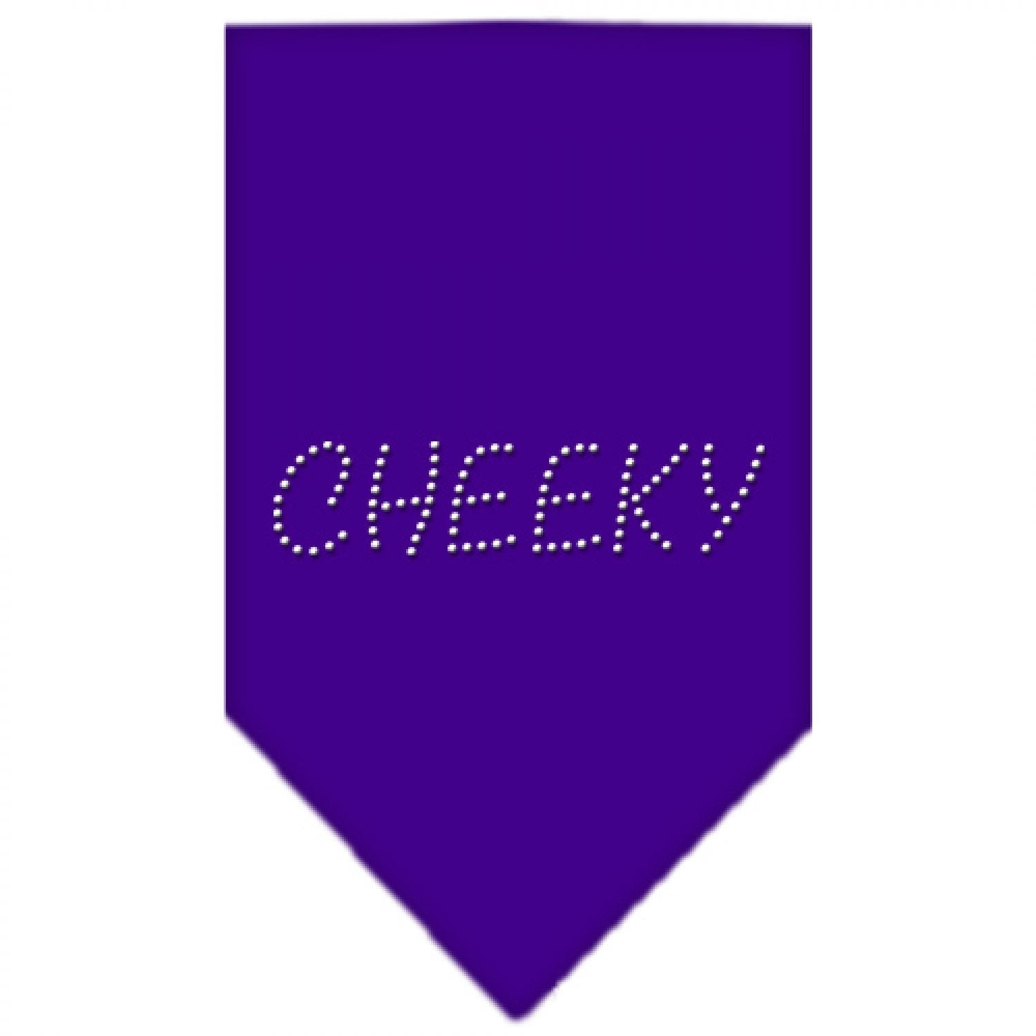 Pet and Dog Bandana Rhinestone, "Cheeky" Purple Large
