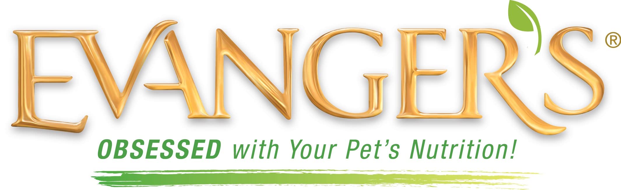 Evangers Grain-Free Wild Salmon for Dogs & Cats, 12.5 Ounce (Pack of 12) - Packaging May Vary