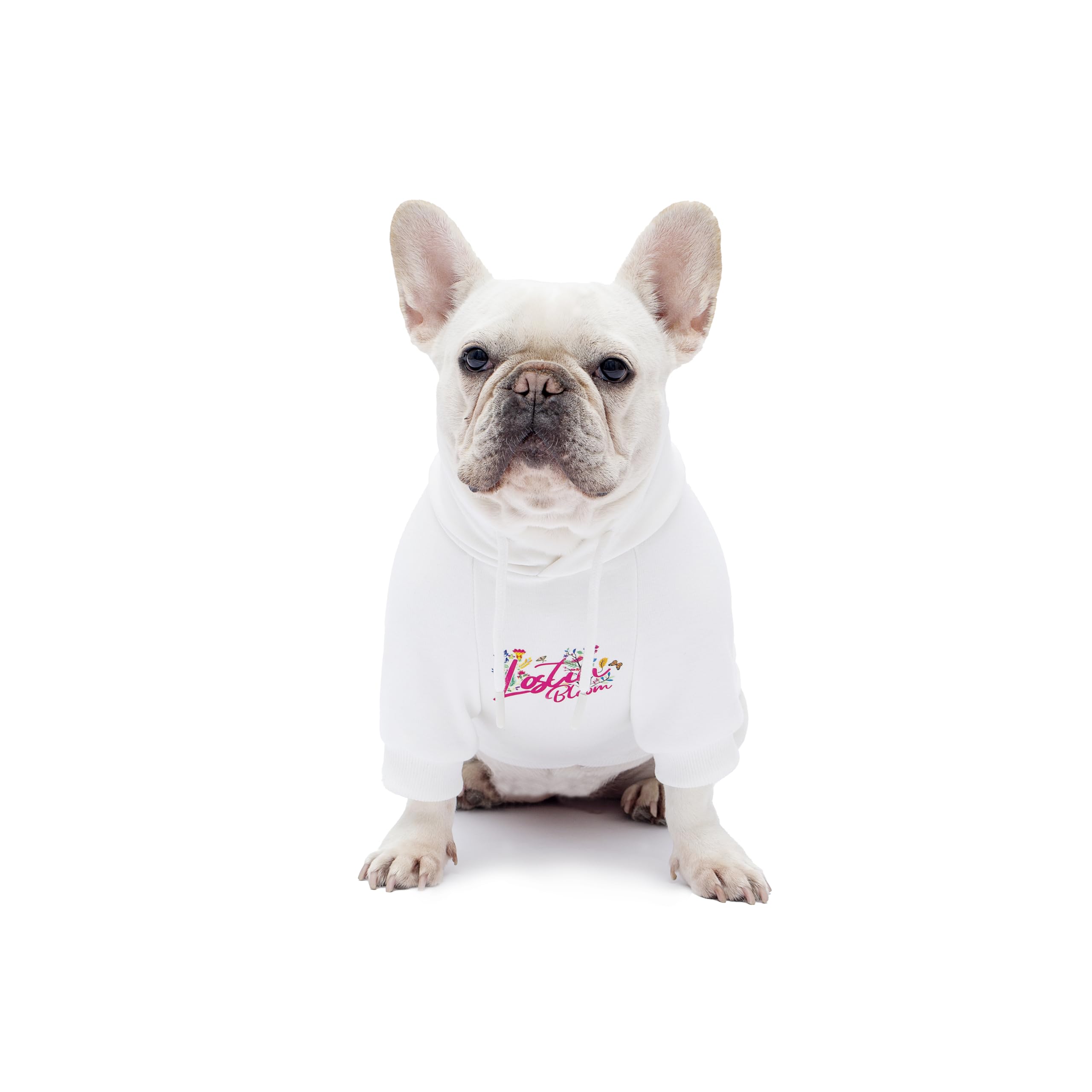 Blooming Teddy Dog Hoodie Dog Clothes Extra Warm Fleece Lining Stretchy Fit for Small Dogs ((White, Small))