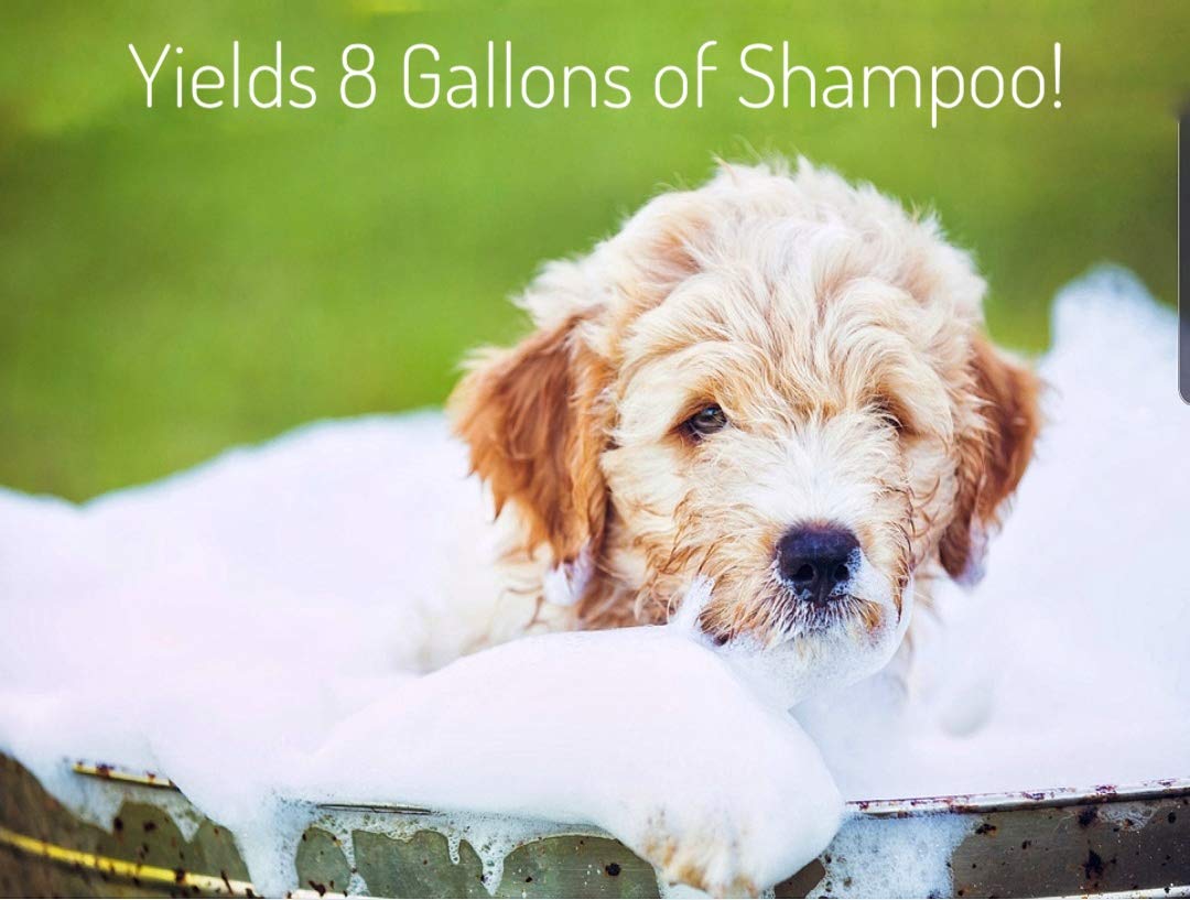 Minksheen Pet Shampoo - 128 oz Dog Shampoo for Clean, Shiny Fur