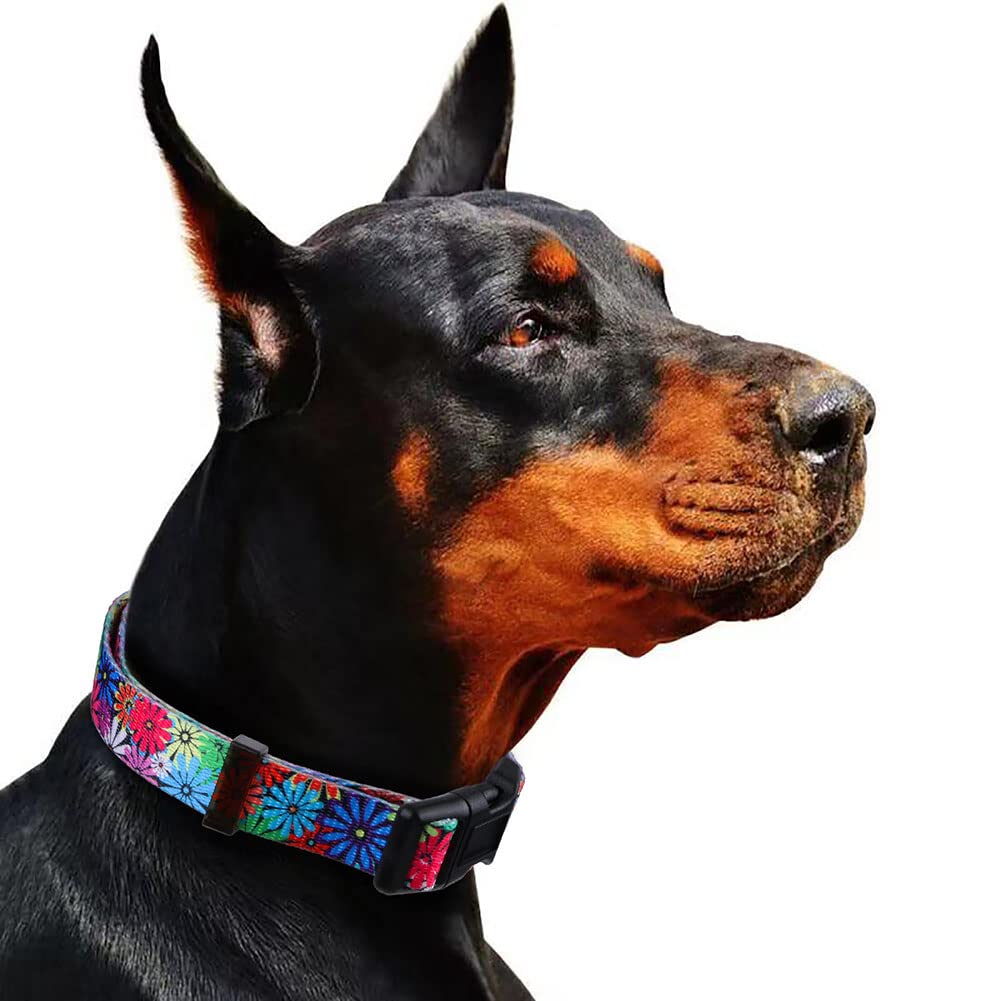 Rhea Rose Dog Collar With Sunflowers Daisy Large