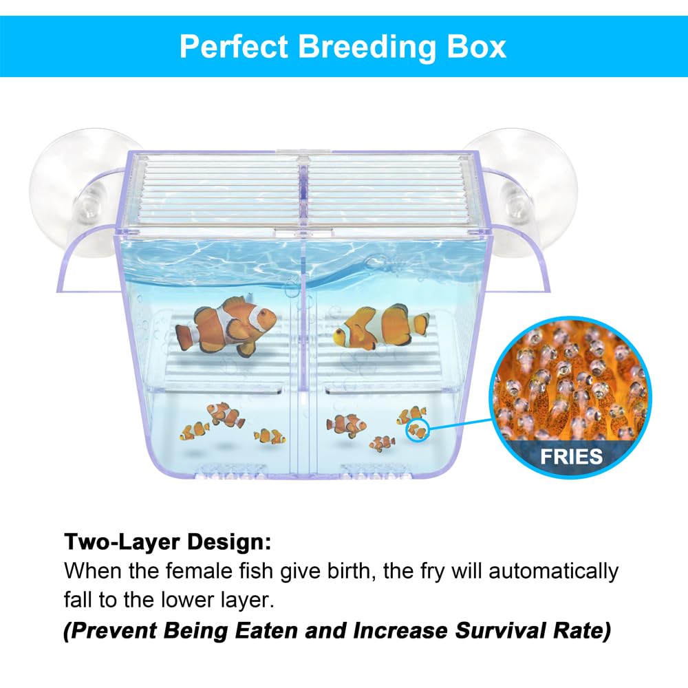DaToo Fish Breeding Box Aquarium Holding Tank Transparent Fish Isolation Box Acclimation Hatchery Incubator Breeder Box for Baby