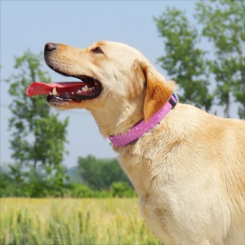 Tdtok Glitter Dog Collar, Comfy And Durable Bling Pet Collar For Small Medium Large Dogs With Eco-Friendly Plastic Buckle And Ad