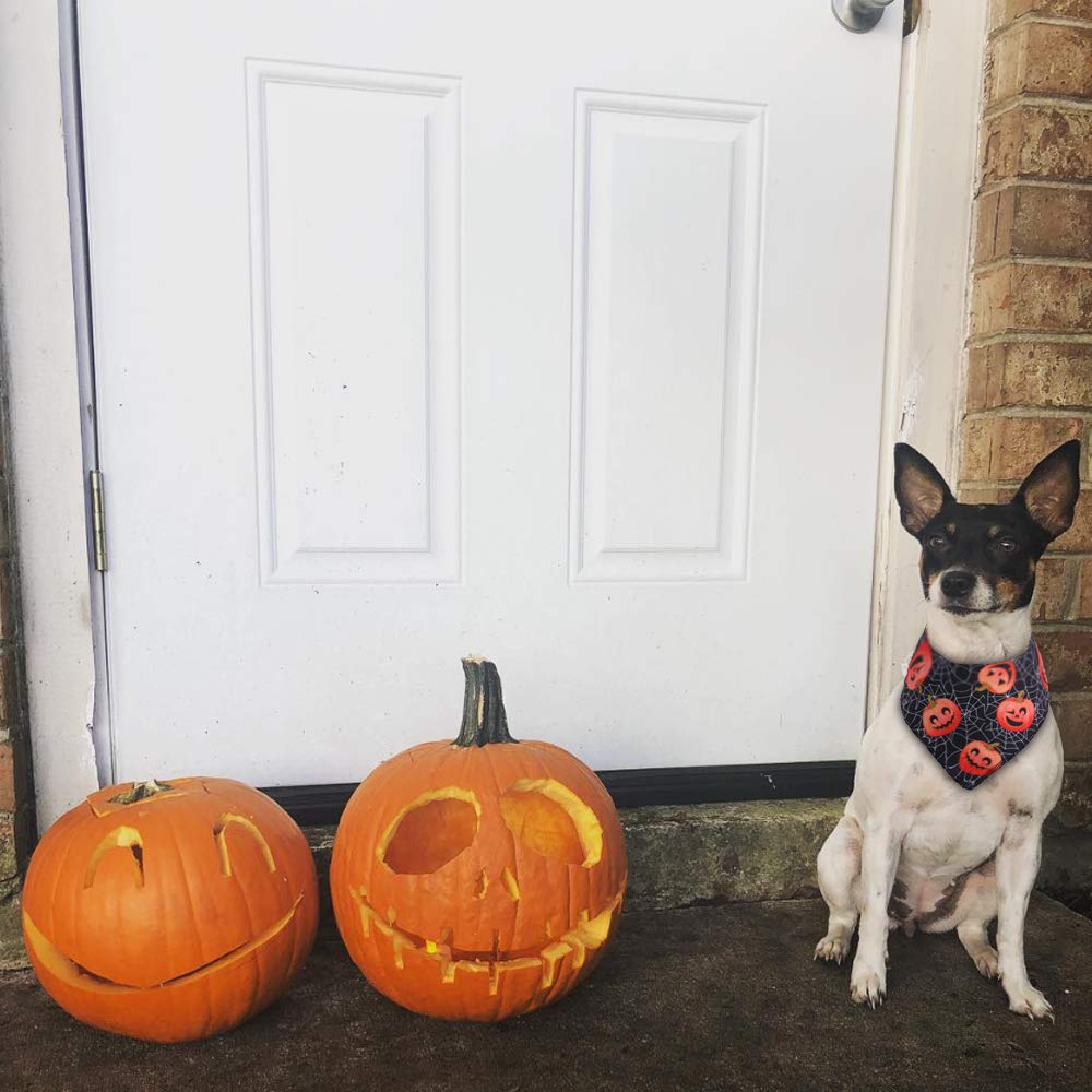 Jpb Halloween Dog Bandanas 2 Pack
