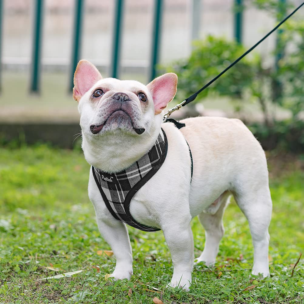 Pupteck Soft Mesh Dog Harness And Leash Set Pet Puppy Cat Comfort Padded Vest No Pull Harnesses, Black&White, M