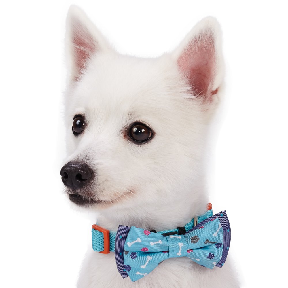 Blueberry Pet Gift Box With Pack Of 2 Handmade Dog Cat Bow Tie, Go For Fun Designer Bowtie Set, 4' * 2.5'