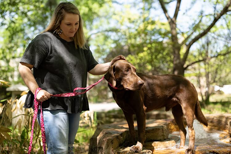Country Brook Petz - Pink Bone Camo Deluxe Dog Collar - Made in The U.S.A. - Camouflage Collection Featuring Rugged Designs (1 I