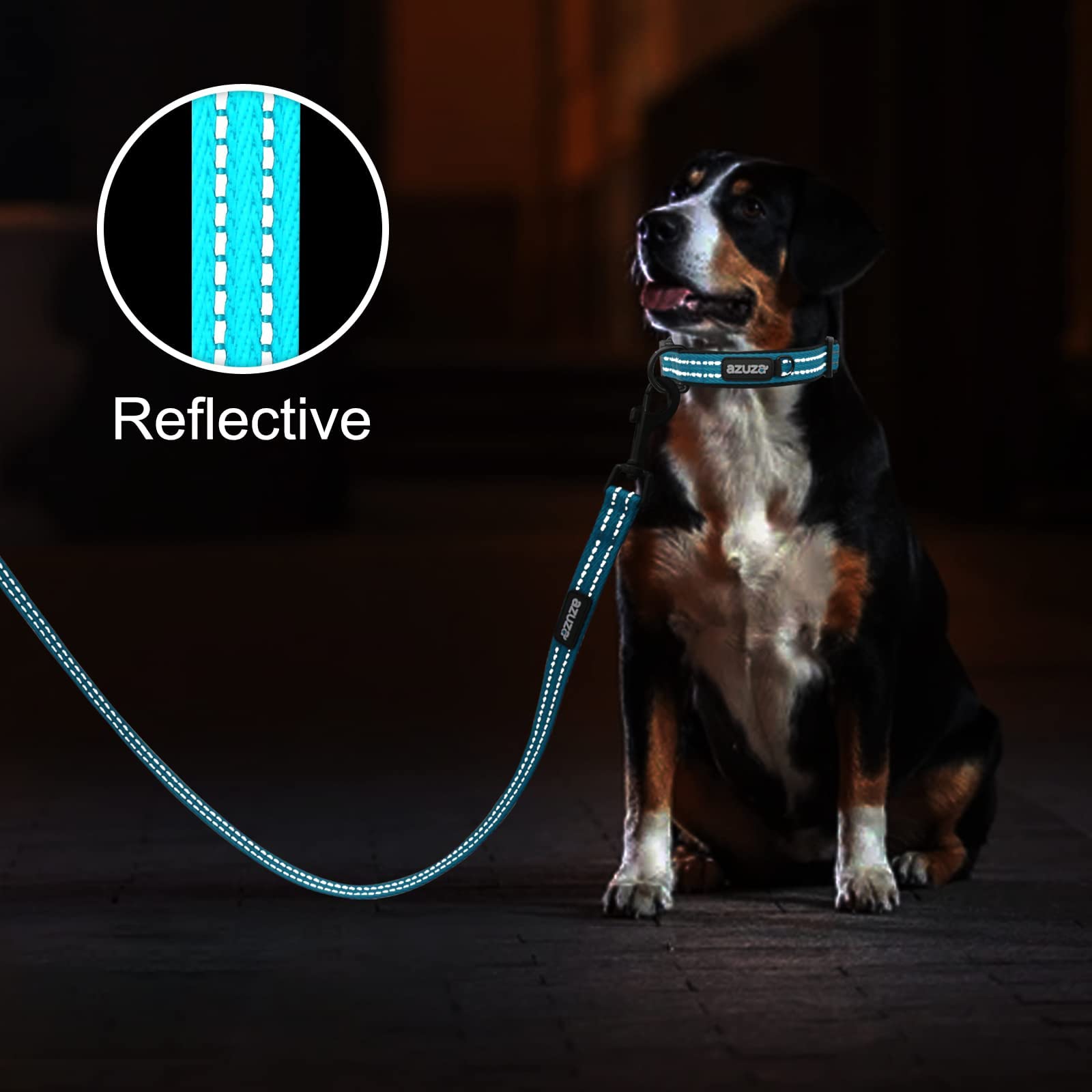 Azuza Reflective Dog Collar, Soft Neoprene Padded Pet Collar With Id Tag Ring, Adjustable For Small Dogs,Vitality Blue,S