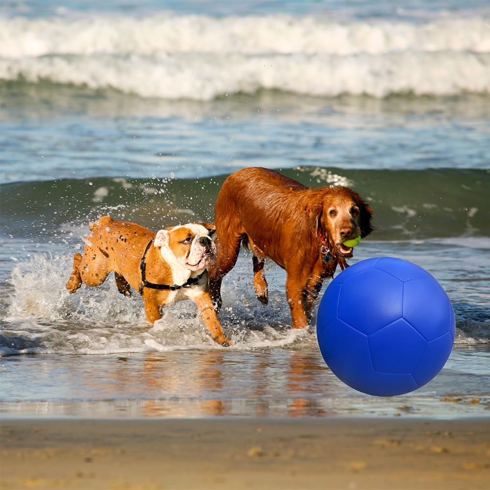 MUCIORELY 20 Herding Ball for Dogs