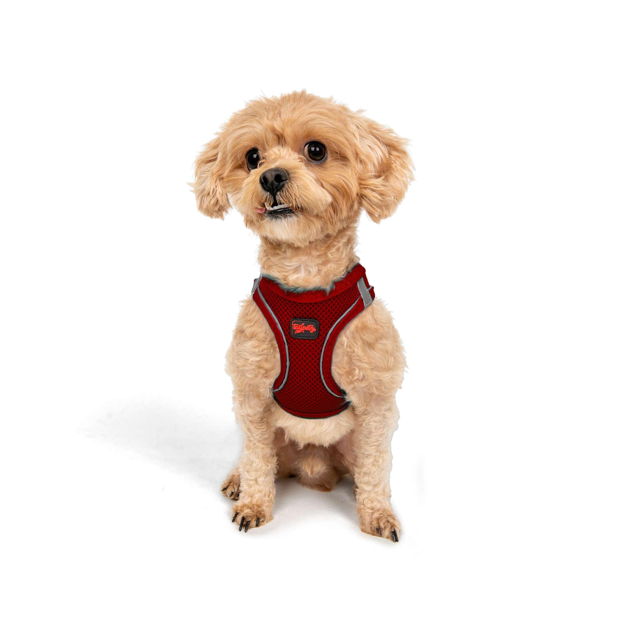 Tailpetz Dog Harness with Breathable Mesh, Reflective, Step-in, No Pull Dog Vest Harness for Small and Medium Dogs and Cats, Red