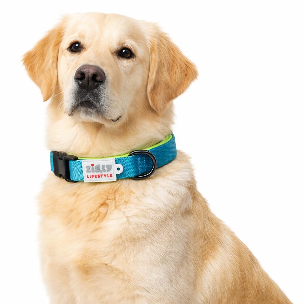 Zigly Lifestyle Classic Padded Dog Collar For Large Dogs | Adjustable Soft Padded Neck Collar For Everyday Walks, Training & Out