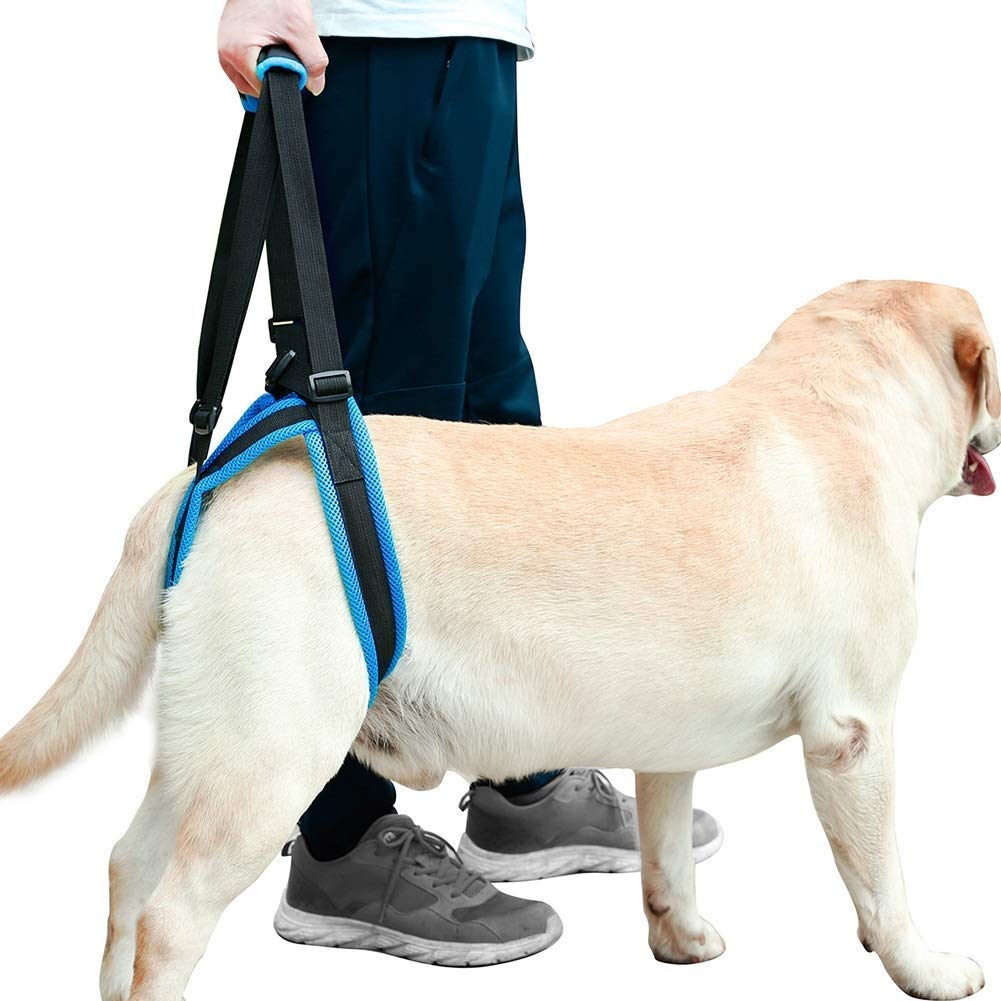 Dog Lift Harness - Dog Lift Support Harness for Weak Rear Legs, Veterinarian Approved Dog Handicap Harness Help for Small Medium