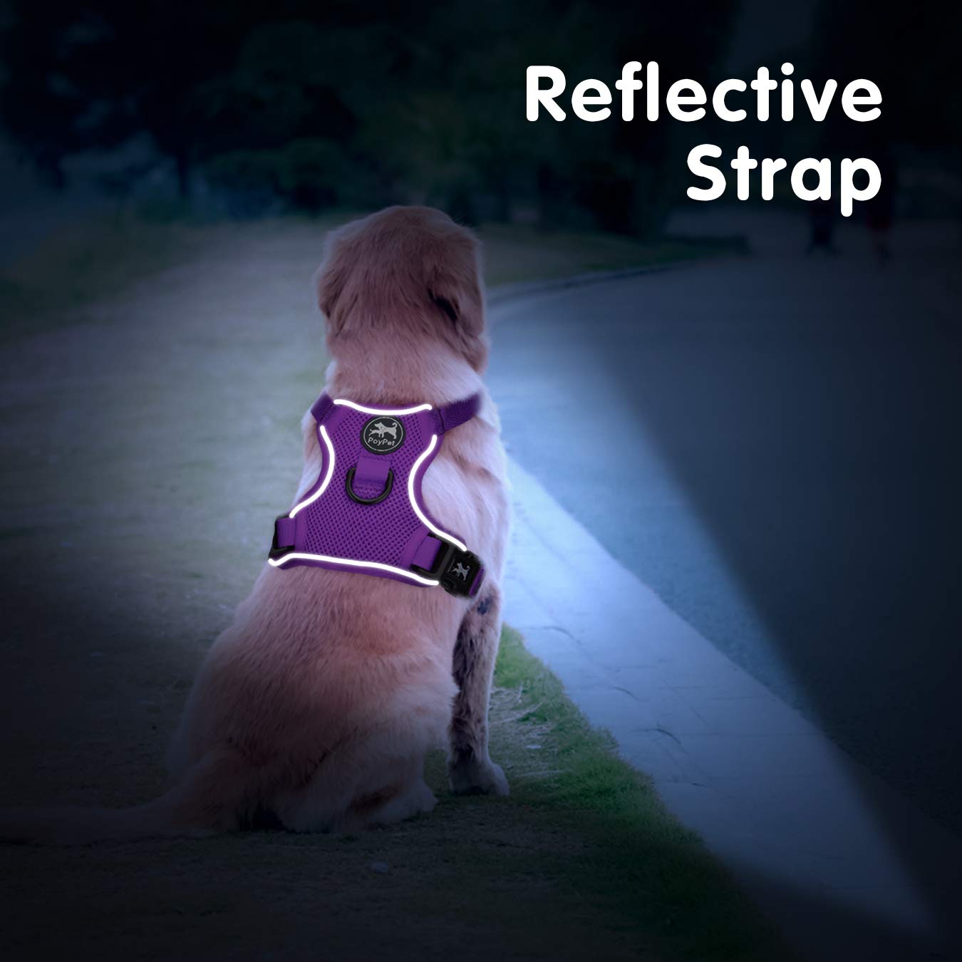 Poypet Reflective Soft Breathable Mesh Dog Harness No Choke Double Padded Vest Adjustable(Purple,Xs)