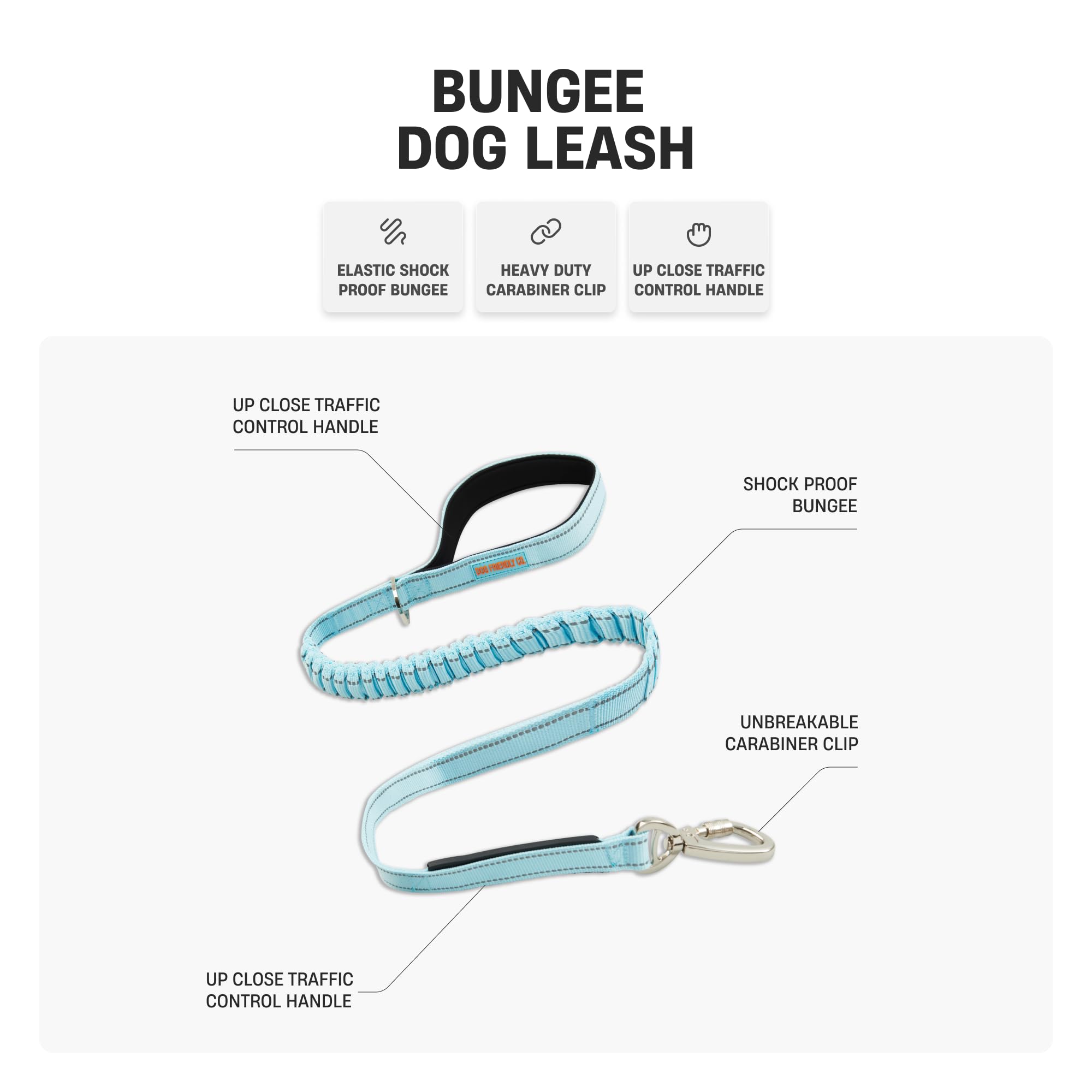 Df Co. Bungee Dog Leash | Strain Free & Shock Resistant For Control | Neoprene Padded Handle, Heavy-Duty Carabiner Clip, And D-R