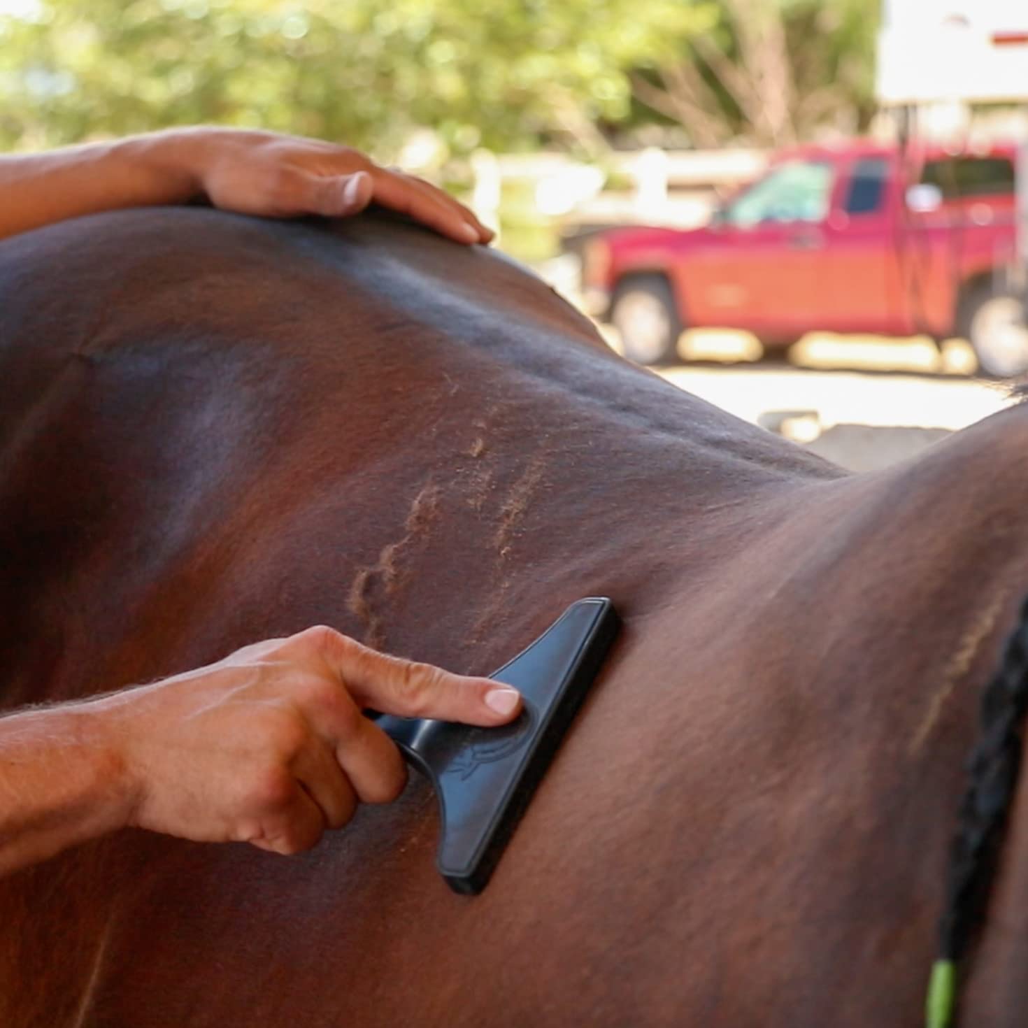Biomane Grooming Tool