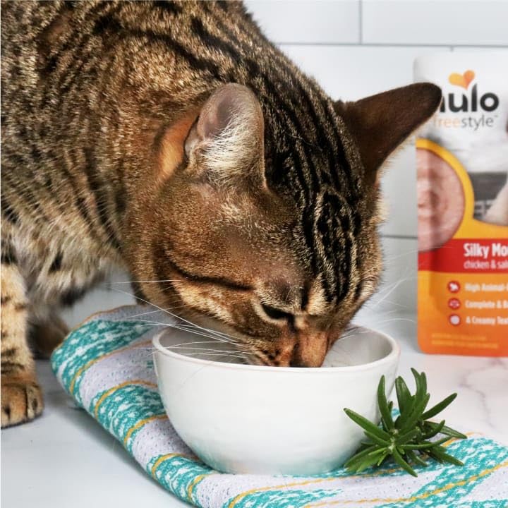 Nulo Freestyle Wet Cat Food Mousse, High Protein, Chicken & Salmon, 2.8 oz (Pack of 24)