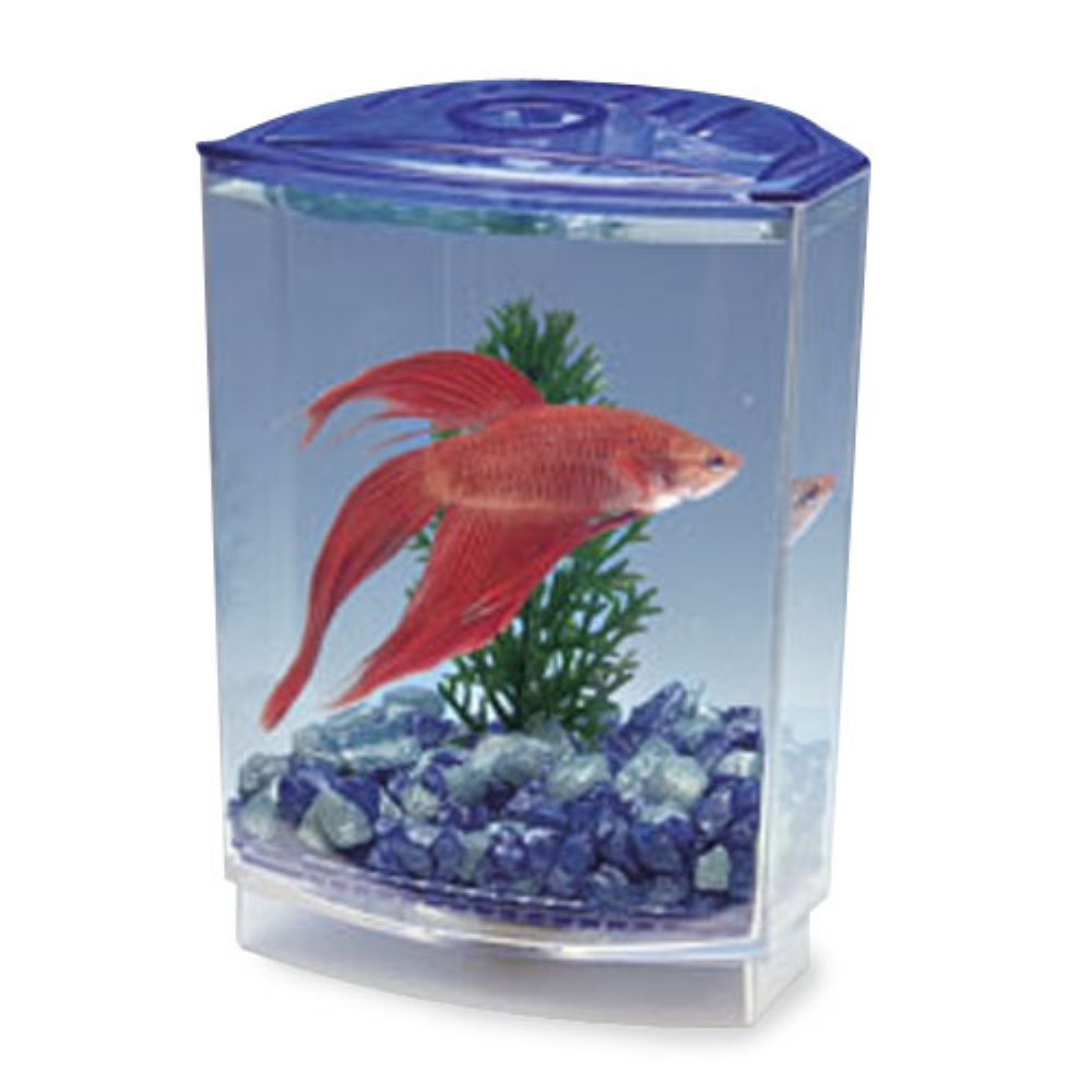 Penn-Plax Betta Bowfront Aquarium Tank Kit