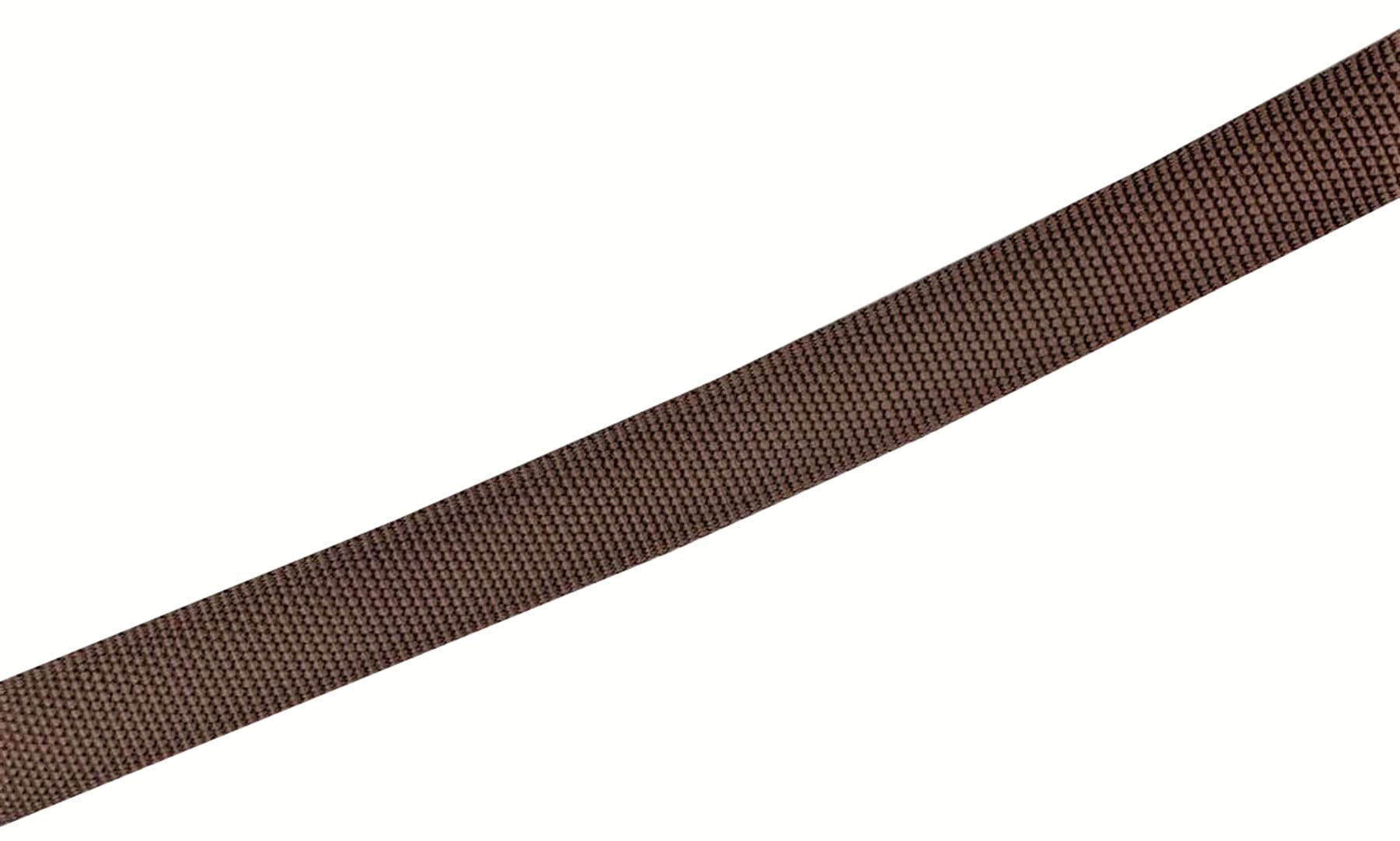 Taian 4Ft/5Ft/6Ft Strong Dog Leash, Nylon Dog Leashes For Small Medium Large Dogs (1 In X 6 Ft, Brown)