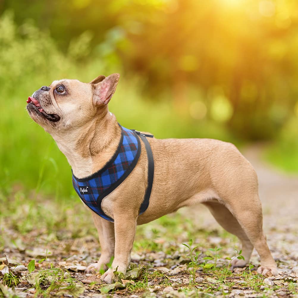 Pupteck Soft Mesh Dog Harness And Leash Set Pet Puppy Cat Comfort Padded Vest No Pull Harnesses, Navy Blue, S