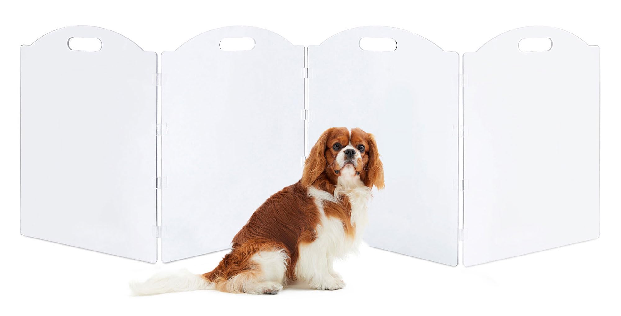 Clear Acrylic Freestanding Dog Gates for The House - Folding 4-Panel Pet Gates for Doorways, Stairs, and Rooms, Transparent Indo