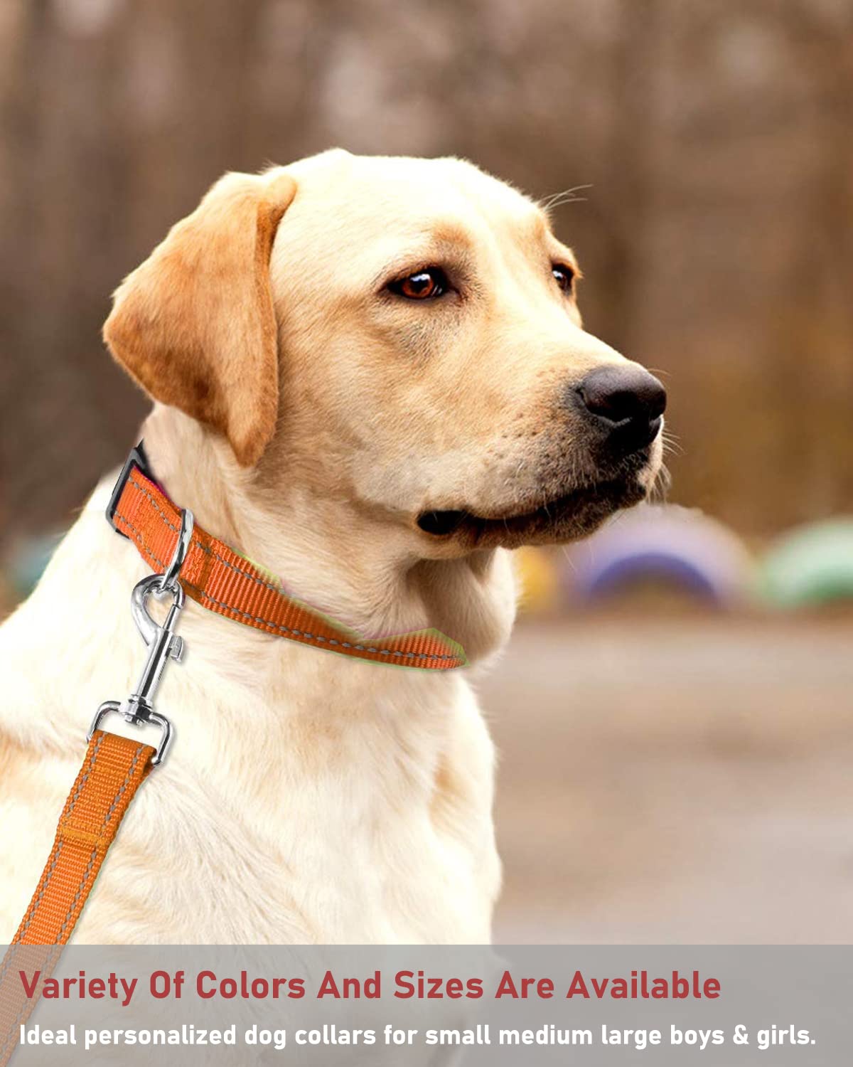 Reflective Dog Collar With Buckle Adjustable Safety Nylon Collars For Small Medium Large Dogs, Orange S