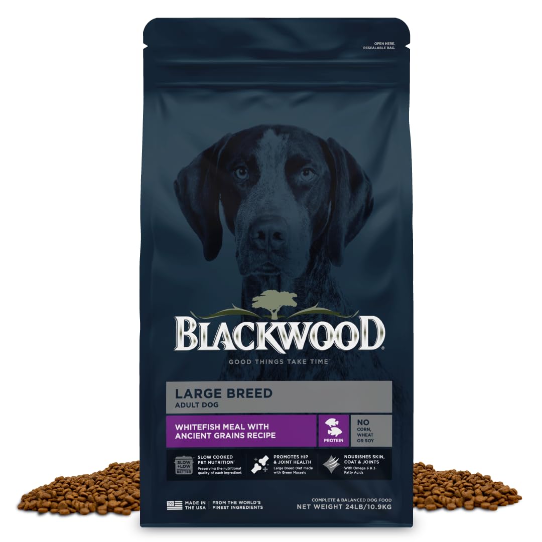 Blackwood Large Breed Dry Dog Food, Whitefish with Ancient Grains, 24 Pound Bag for Adult Dogs, Slow Cooked with Green Mussels t