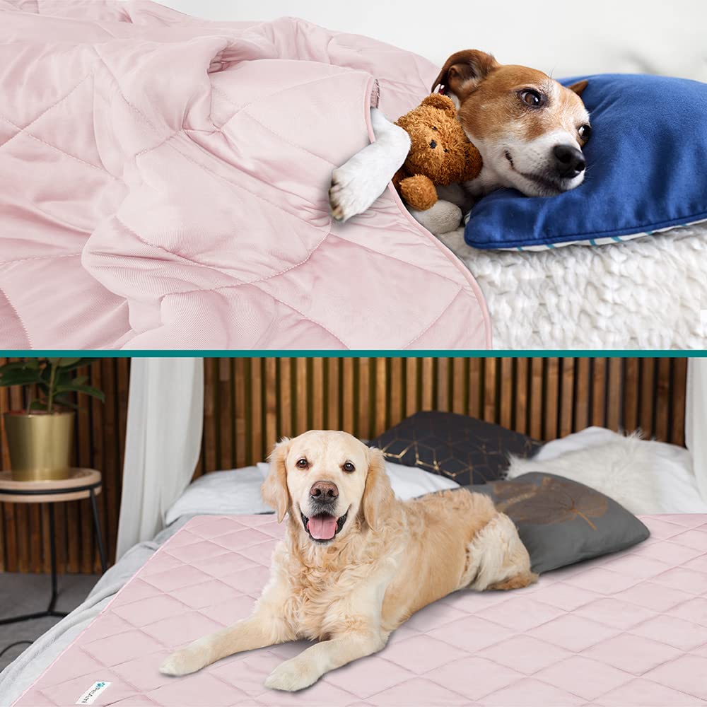 Petami Premium Cooling Dog Blanket | Lightweight Fluffy Pet Throw Blanket Bed Cover For Dogs, Cat, Puppies | Pet Blanket Furniture Protector Couch Sofa | Reversible Fuzzy Cozy | 29X40, Pink