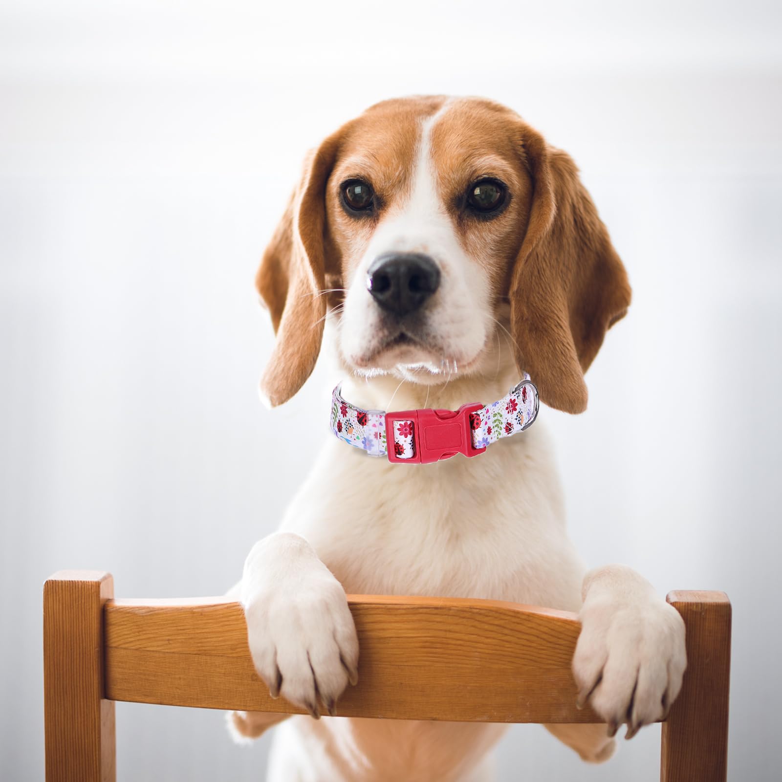 Funny Dog Collar With Girl Boy, Adjustable Nylon Comfy Soft Durable Pet Collar For Xs Small Medium Large Extra Large Dog(Xl