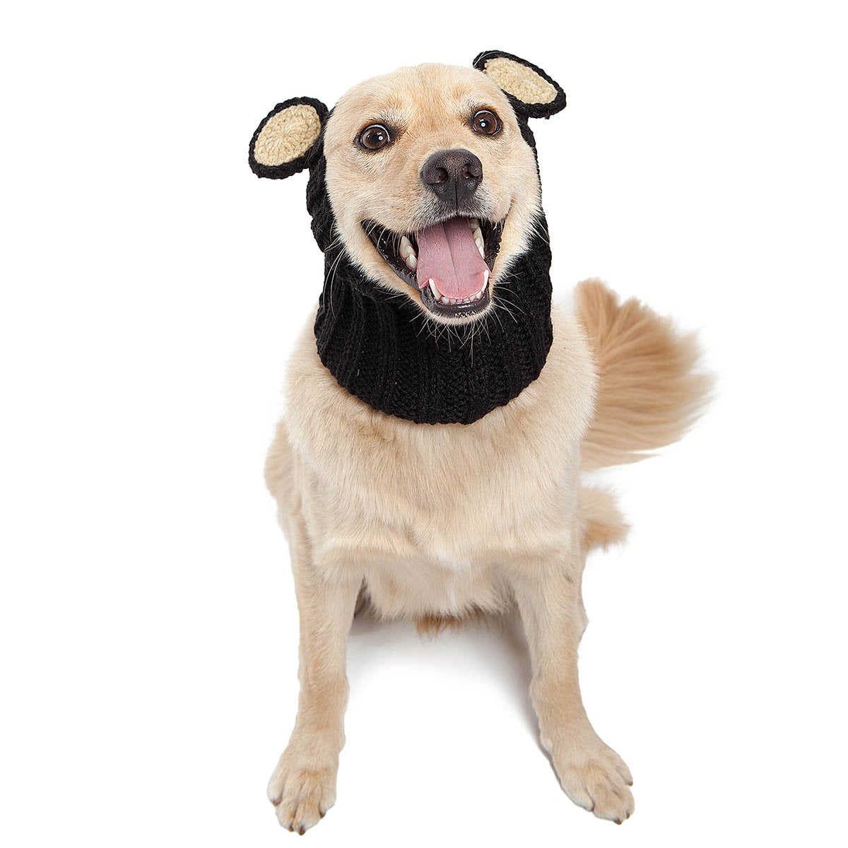 Zoo Snoods Black Bear Costume for Dogs, Medium - Warm No Flap Ear Wrap Hood for Pets, Dog Outfit for Winters, Halloween, Christm