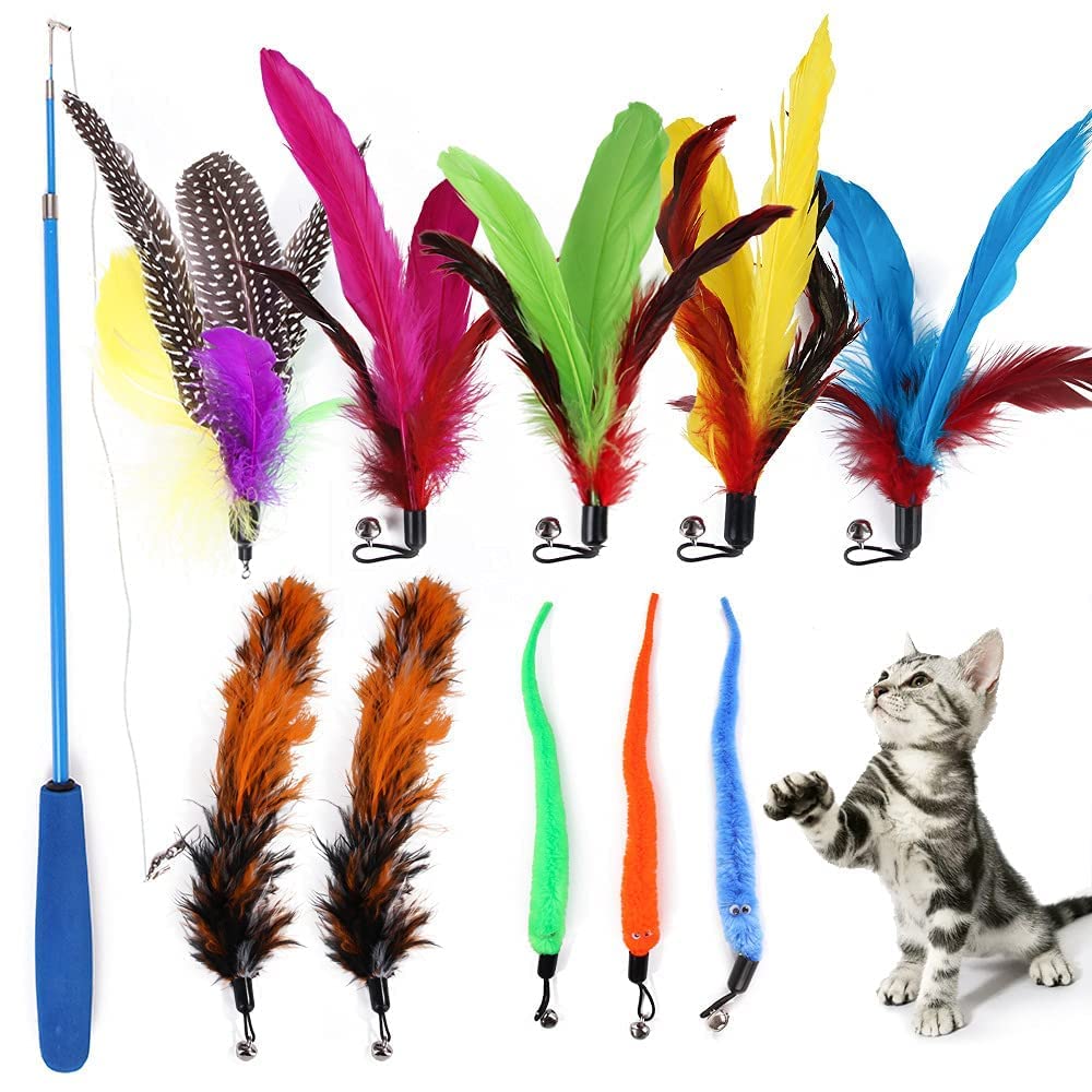 Gyanshoppe Interactive 11 Piece Toy Set With Retractable Teaser Wands And Feather Worm With Variety Of Vibrant Colours,Activity