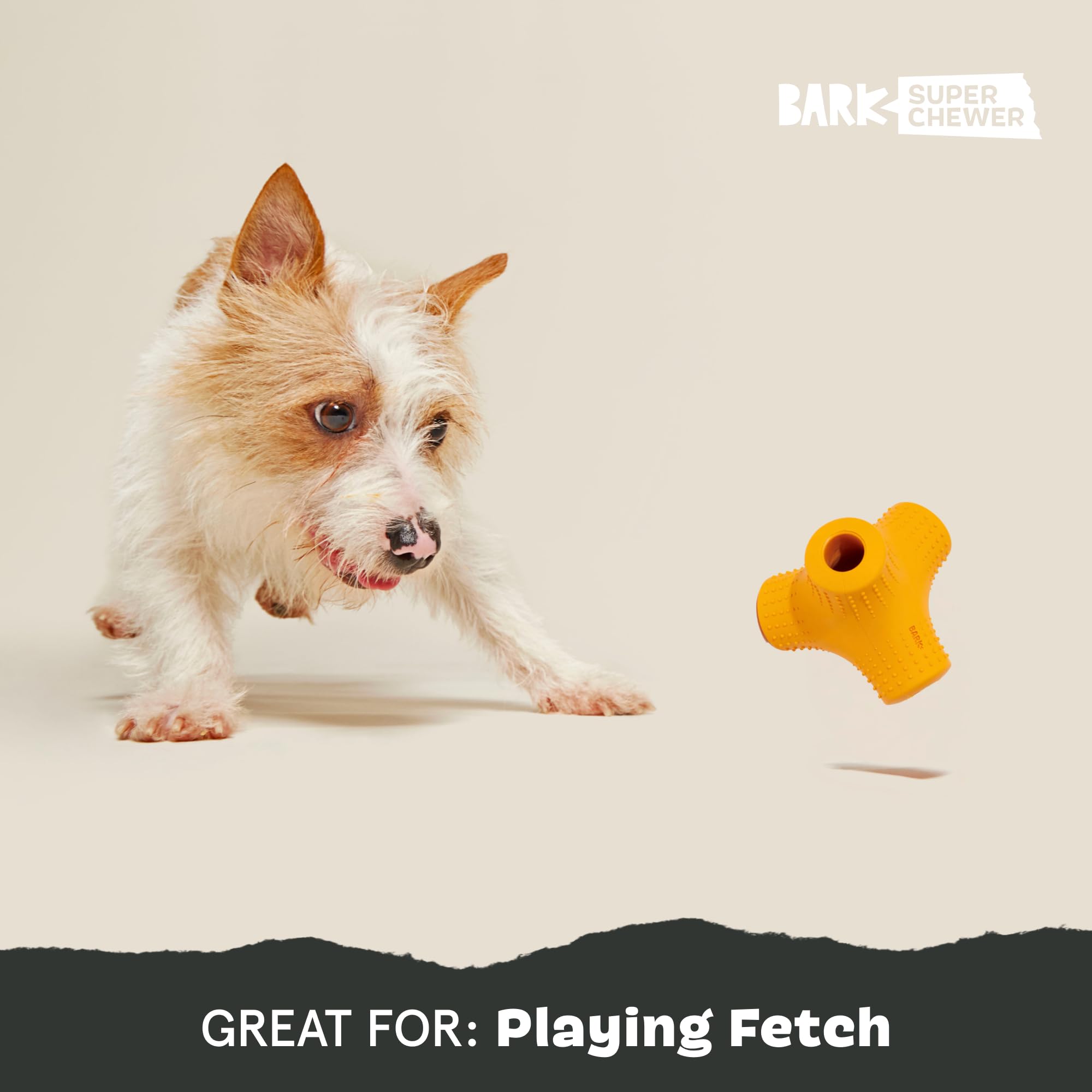 Barkbox Dog Toy for Aggressive Chewers | Coral Teef-Small | Wacky Bounce | Model BARK-208282