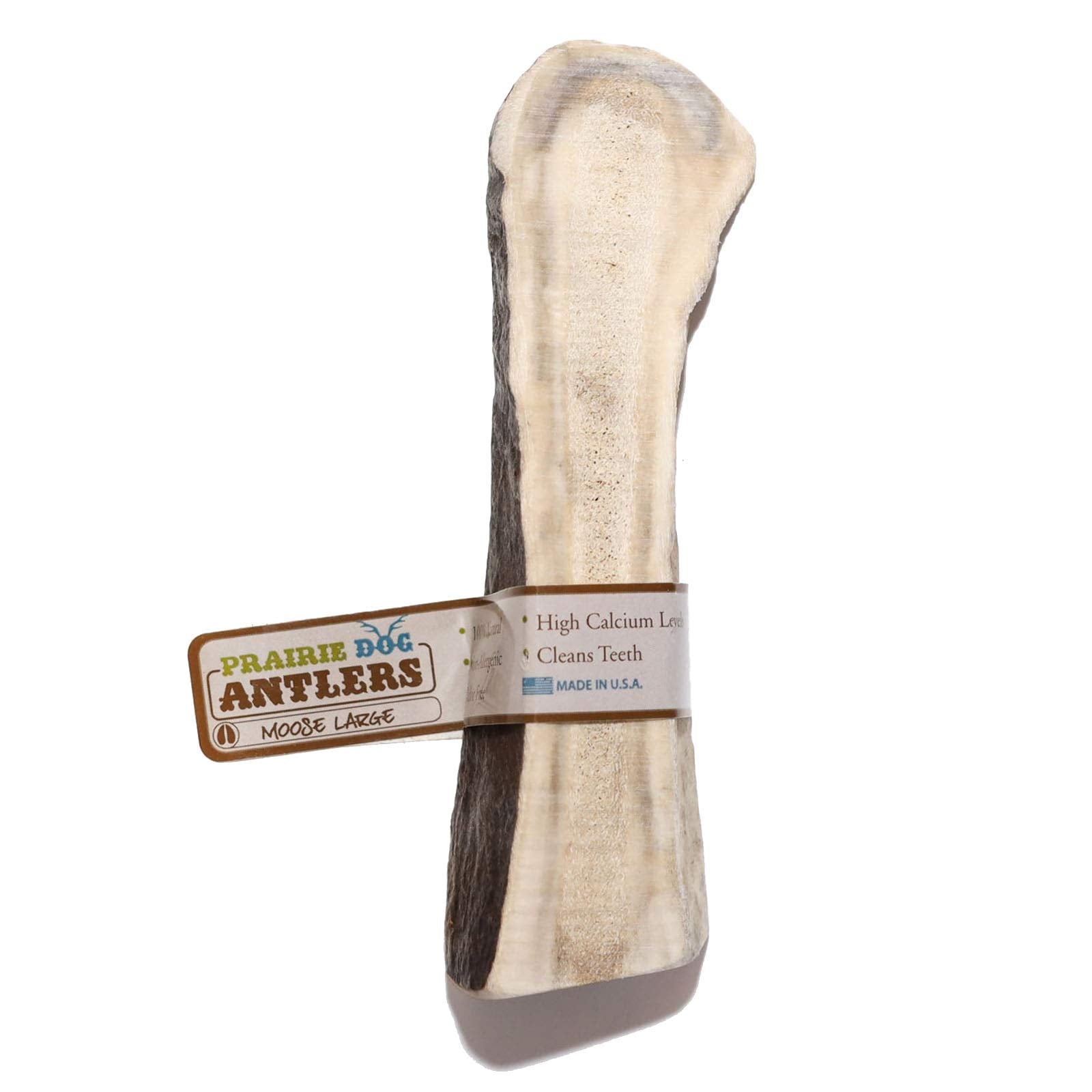 Prairie Dog Antlers | North American Split Moose Antler | MEDIUM | Naturally Shed | Hand Harvested | Nutrient Rich | 6-7.5 inche