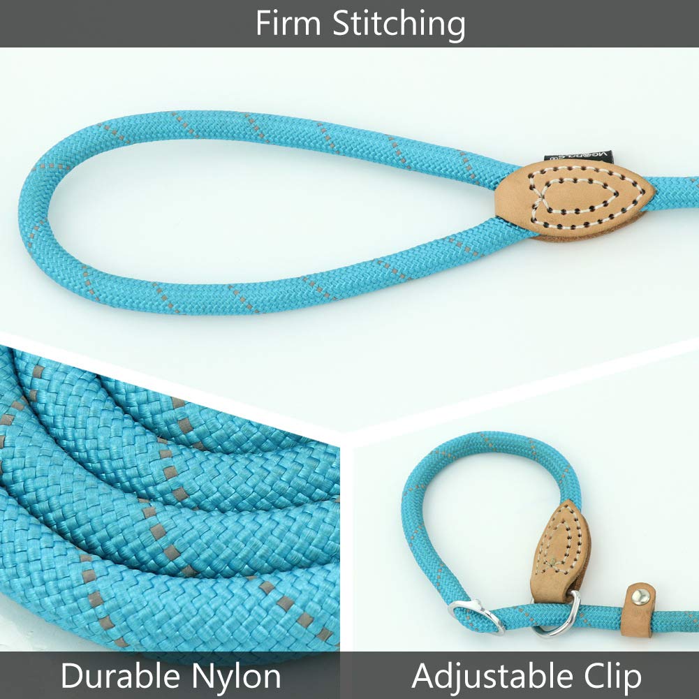 Grand Line Slip Lead Dog Leash, 5Ft Reflective Slip Rope, Puppy Training Walking Controlling Lead, Slip Collar Pet Leash For Small, Medium, Large Dogs (Blue, Large-3/5In X 5Ft)