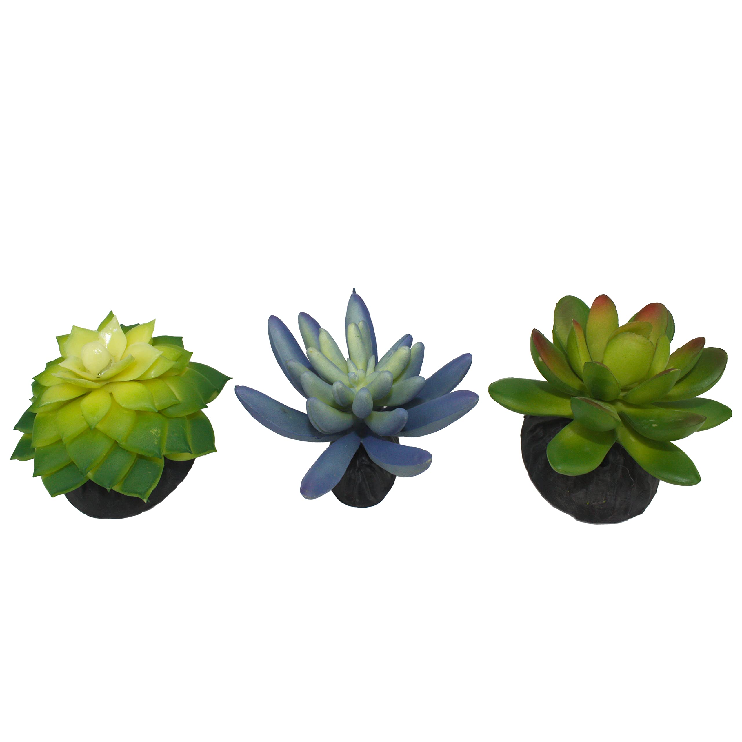 Komodo Reptile Terrarium Succulent 3Pk Blue/Green Plants | Natural Looking Artificial Aquarium Ornament & Habitat Decoration Acc