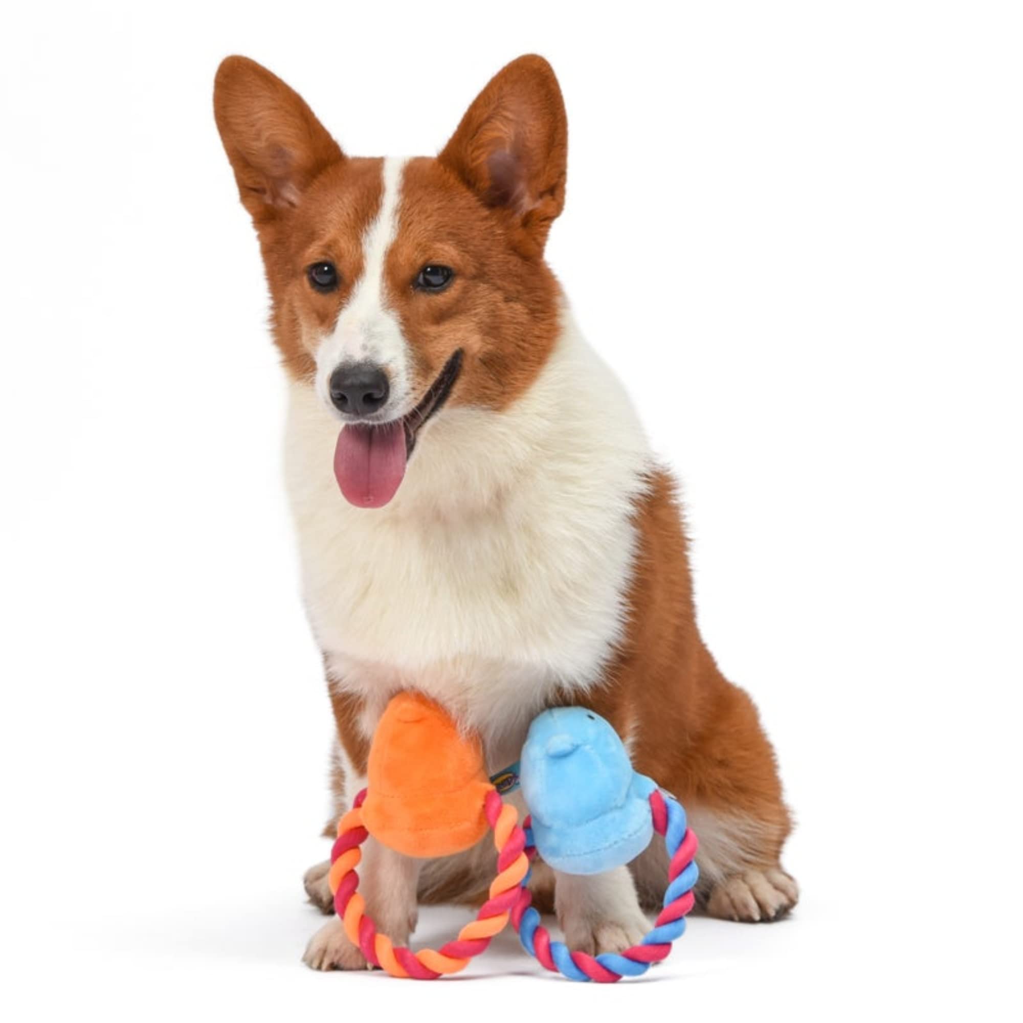 Peeps Squeaky Rope Dog Toys (Blue Chick)