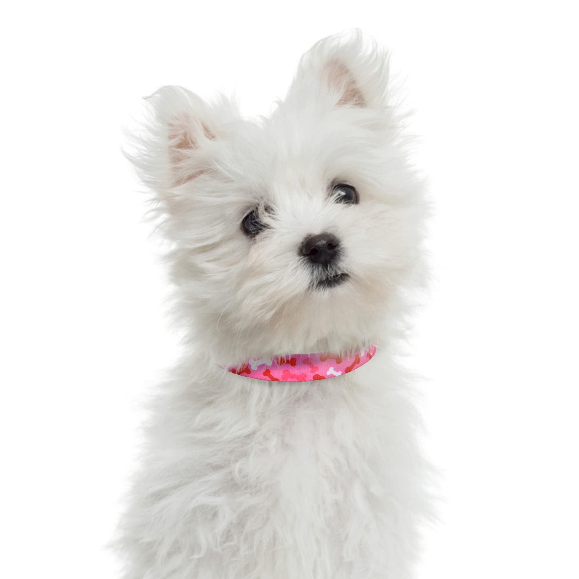 Mile High Life Dog Collar | Nylon Puppy Collars W Cute Patterns | Lightweight Girl Dog Collar | Boy Dog Collar For Small/Medium/Large Dogs (Pink Bone, Large)