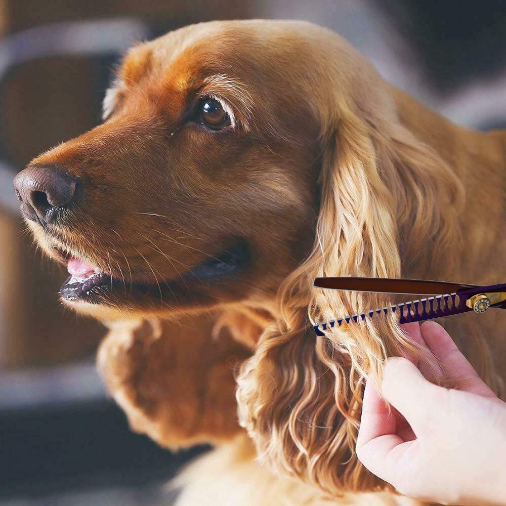 Purple Dragon Pet Grooming Scissor Set - 7.0/8.0 inch Stainless Steel, Purple, Model 4334802470, Includes Dog Chunker Shear