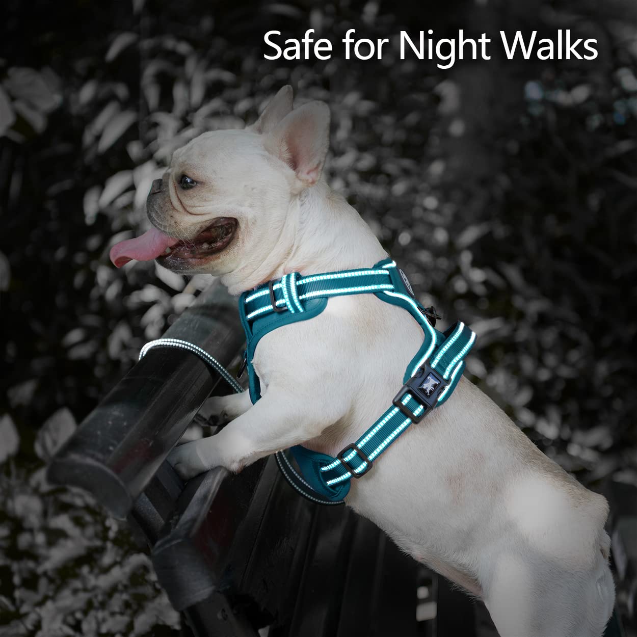 Poypet No Pull Dog Harness, No Choke Reflective Dog Vest, Adjustable Pet Harnesses With Easy Control Padded Handle For Small Medium Large Dogs(Tumalo Teal,S)