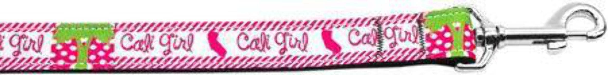Pet Dog & Cat Nylon Collar or Leash, "Cali Girl" LG Collar