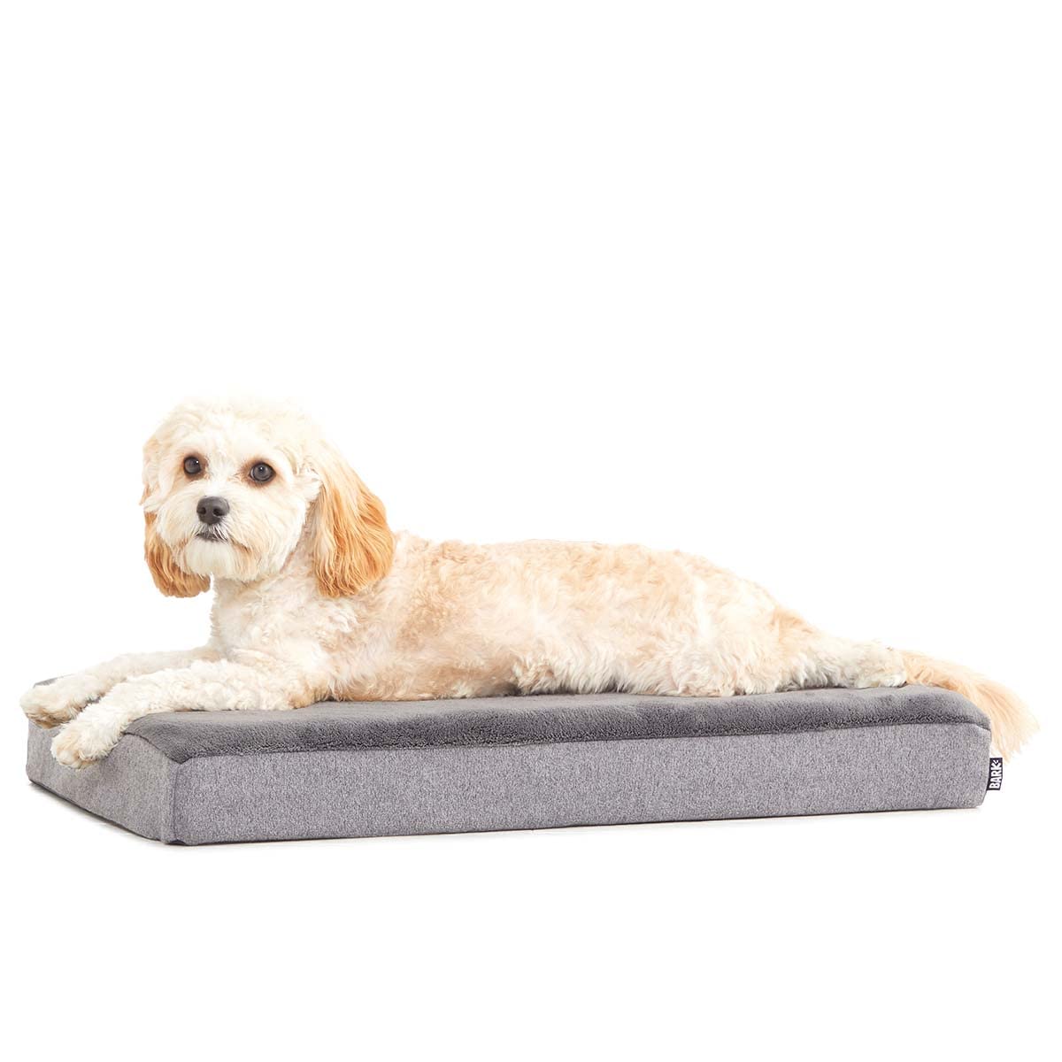Barkbox Orthopedic Dog Bed with Memory Foam, Premium Comfort for Dogs and Puppies, Dog Bed for Joint Relief and Restful Sleep, D