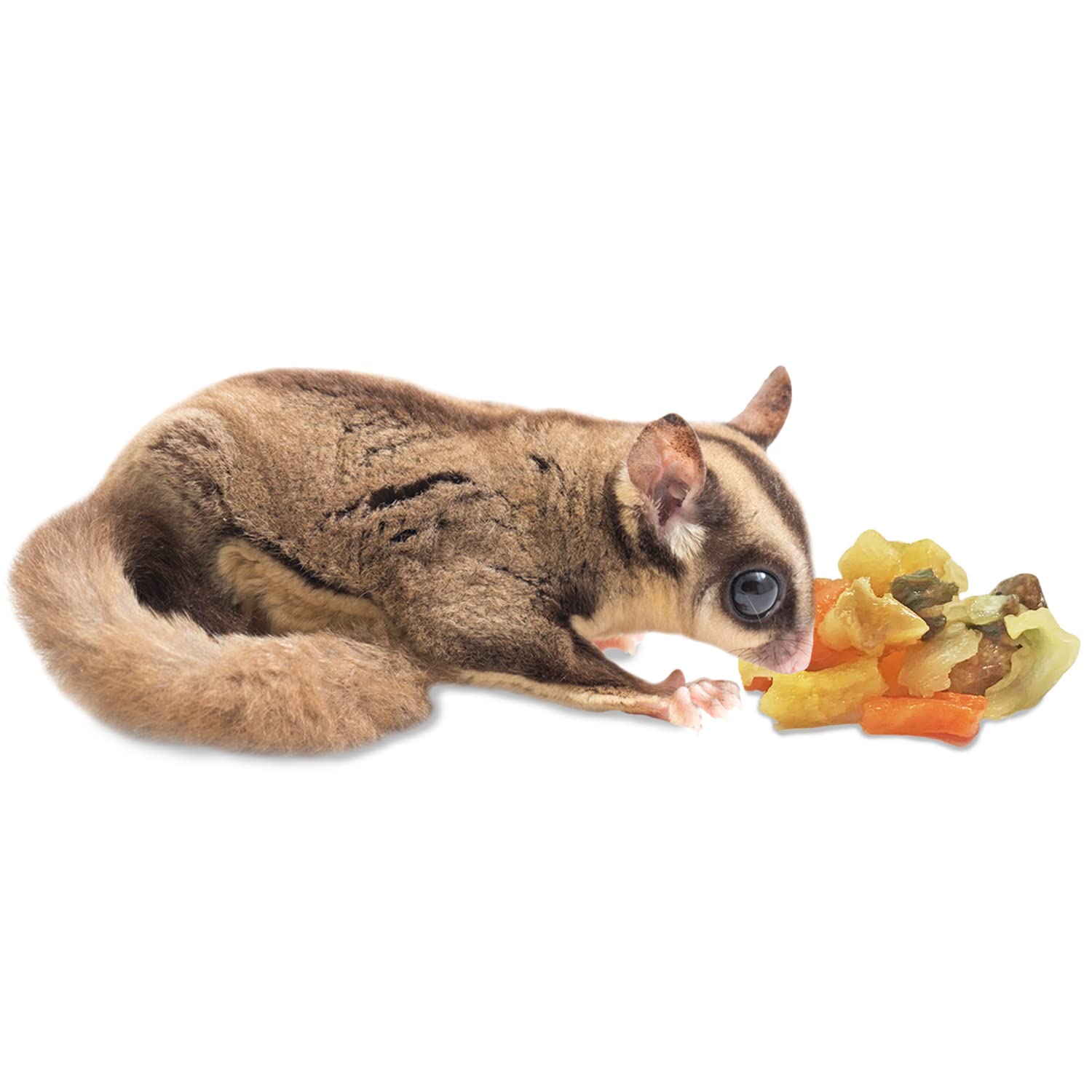 Exotic Nutrition Garden Fresh Re-Hydrate - High Calcium Dried Fruit & Vegetable Mix - for Sugar Gliders, Marmosets, Parrots, Con