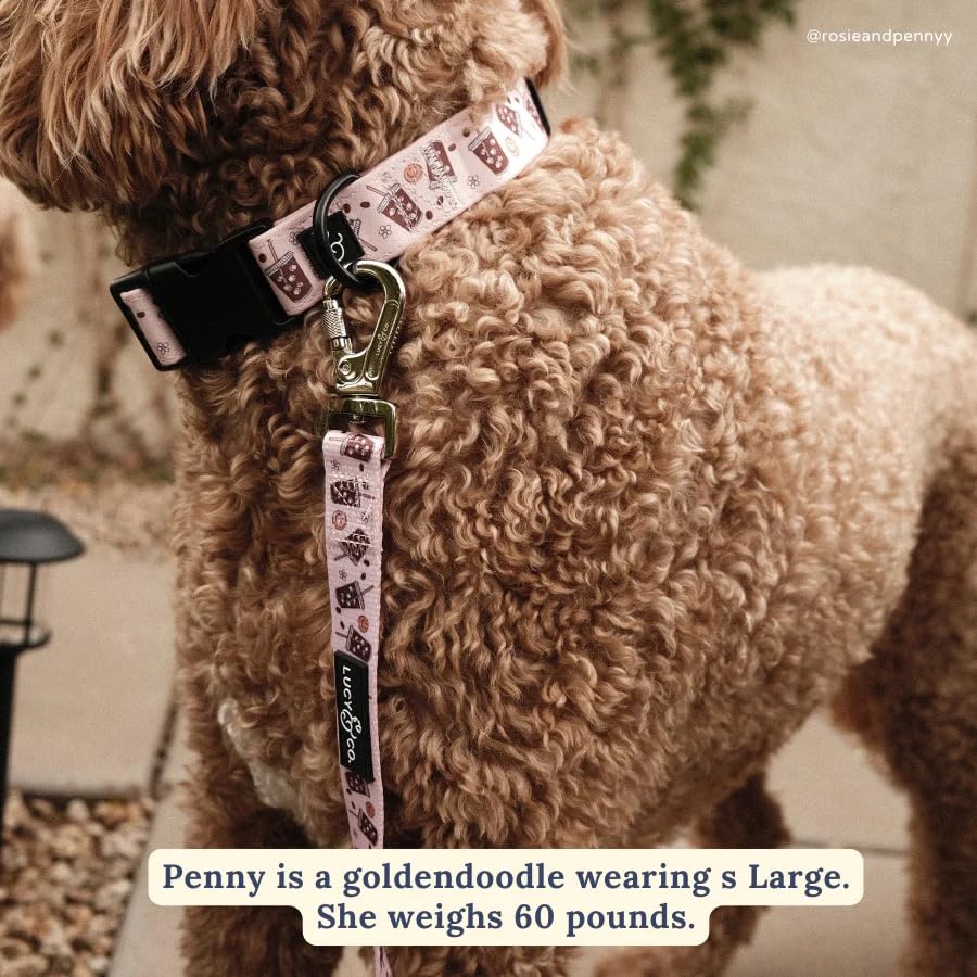 Lucy & Co. Dog Collar - Durable Lightweight Designer Collar For Pets - Adjustable Metal Safety Buckel. (Iced Coffee Szn Collar).