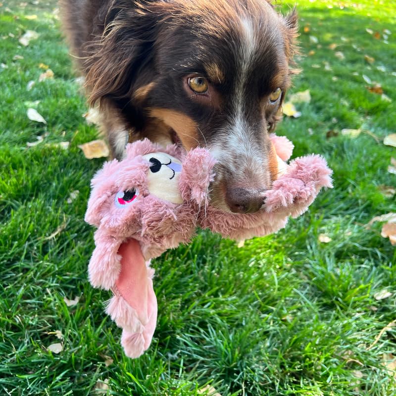 Kong Scrumplez Dog Toy - Soft Plush Squeaker Toy For Interactive Play, Stuffed With Extra-Squeaky Fun, Durable And Engaging For